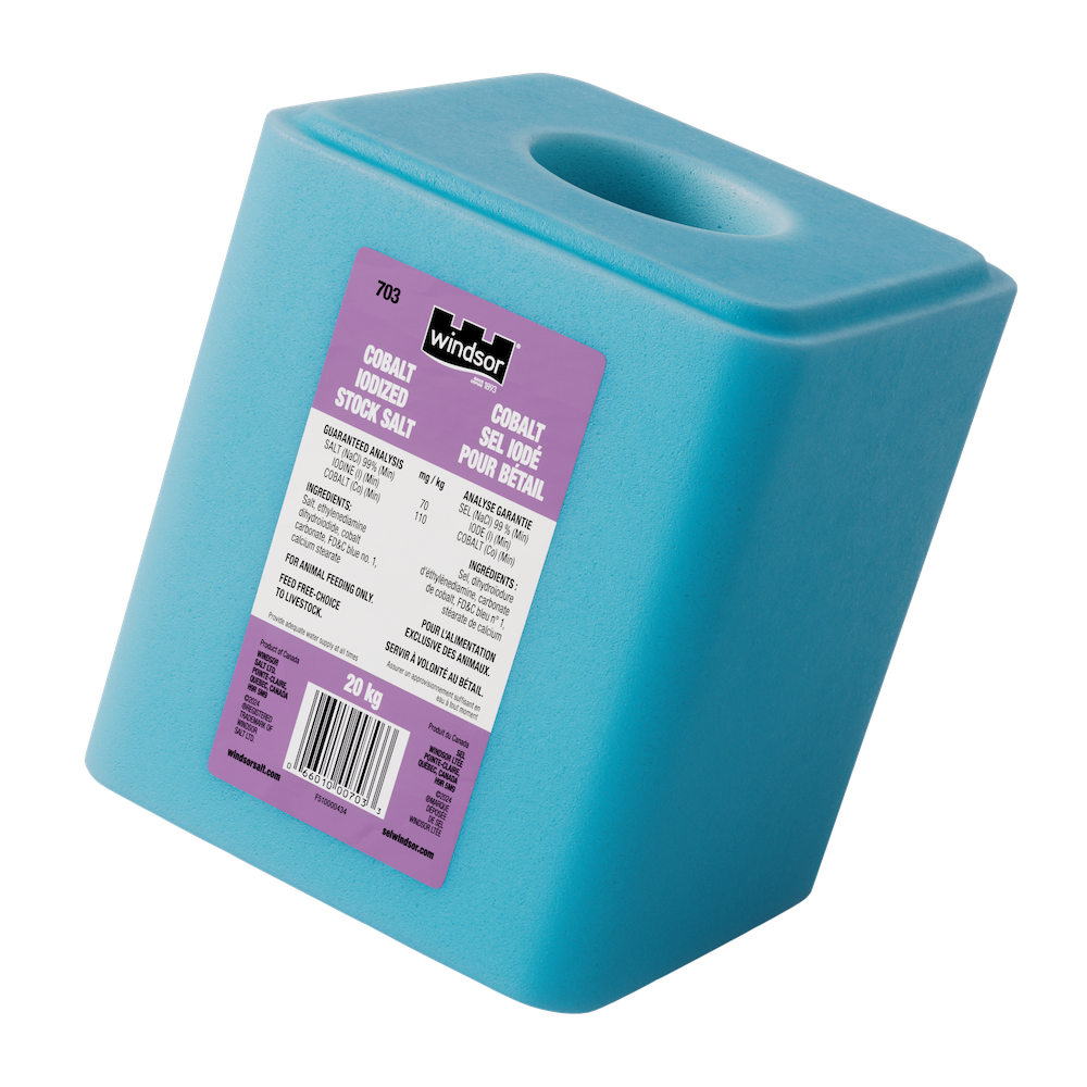 Current product image, cobalt iodized salt block