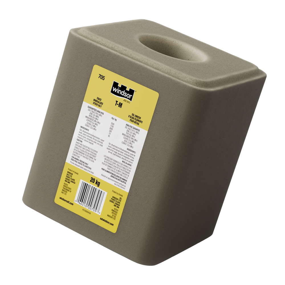 Current product image, TM