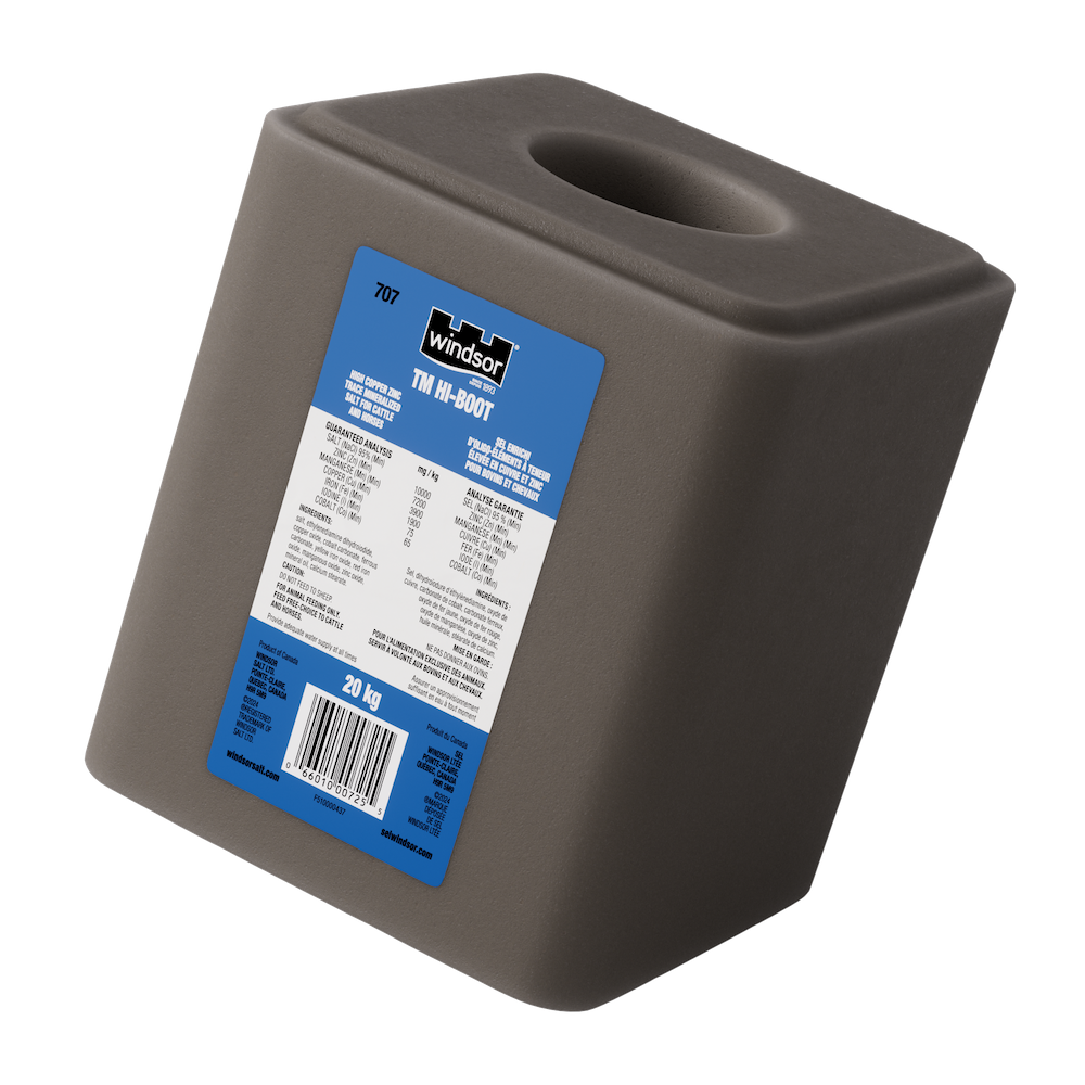 Current product image, TM hi boot